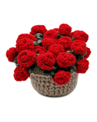 Rose Coaster Set
