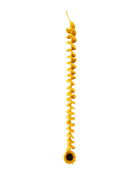 Sunflower Spiral Hanging (Set of 2)