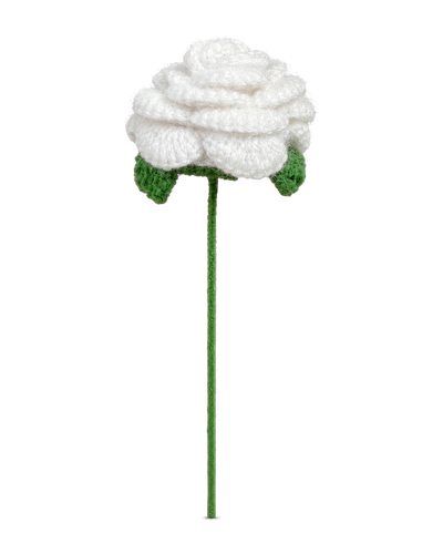 Curved-Petal Rose Stem in White