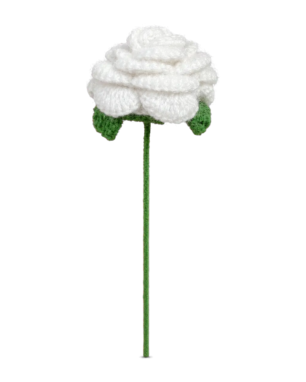 White Curved-Petal Rose Stem