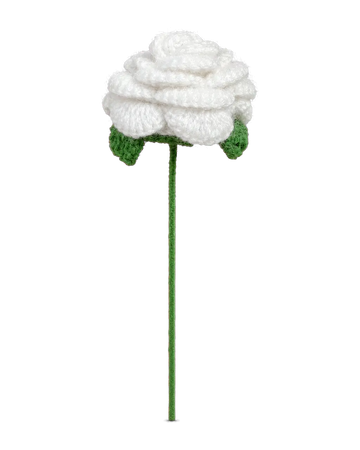 White Curved-Petal Rose Stem