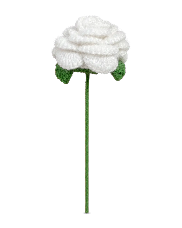 White Curved-Petal Rose Stem