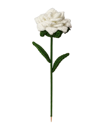 White Pointed-Petal Rose Stem
