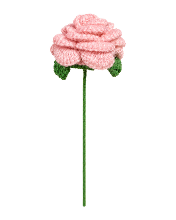White Curved-Petal Rose Stem (Pink)