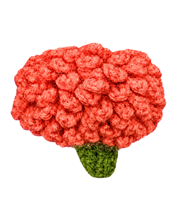 Marigold Flower (Bright Red)
