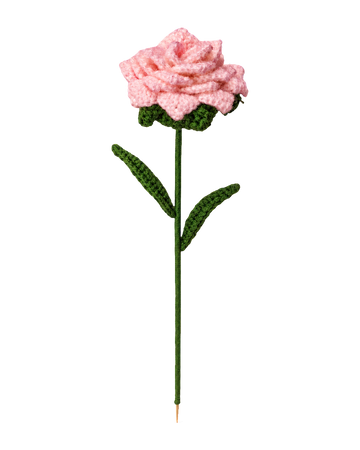 White Pointed-Petal Rose Stem (Pink)