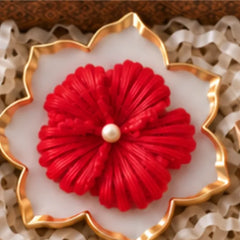 Hibiscus diya urli, 2.5 inch